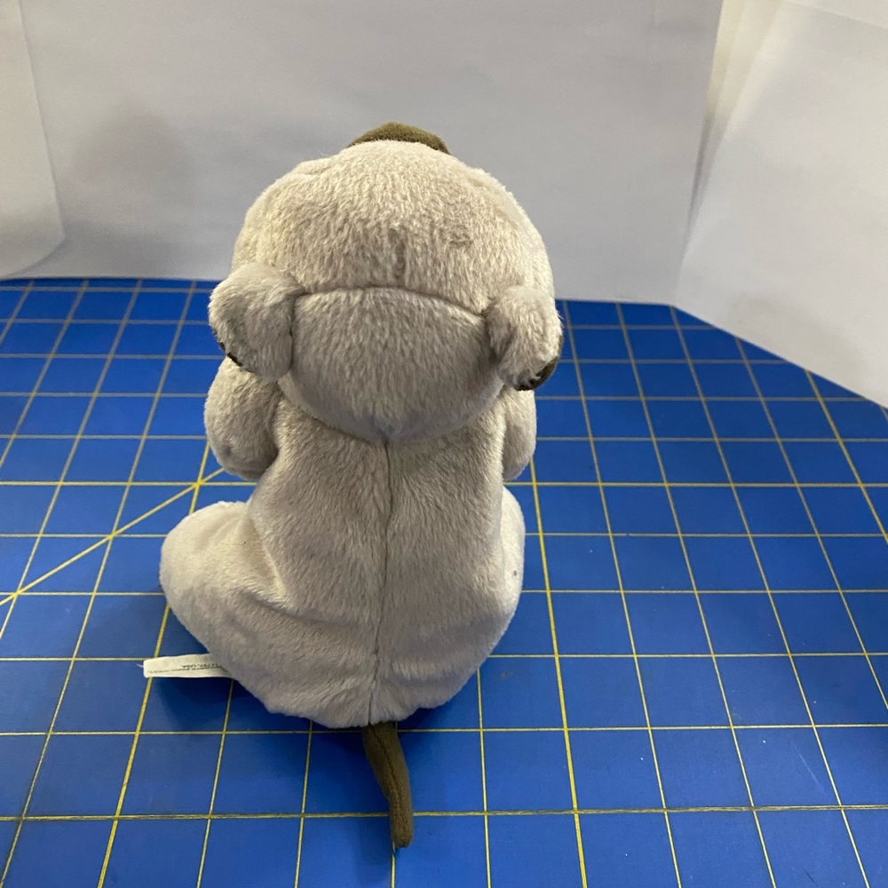 Groundhog - Picture 3 of 5